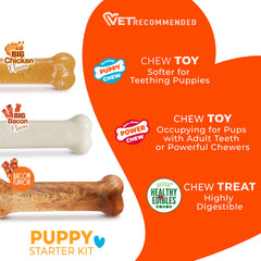 Nylabone os dentition chiot doux — premier jouet pour dentition confortable.
