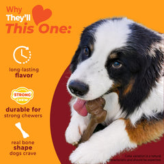 Nylabone os-femur-authentique-sans-graisse : forme authentique sans graisse ni éclats.