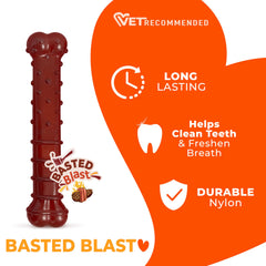 Nylabone Os forme os classique favorise une mastication naturelle et régulière.