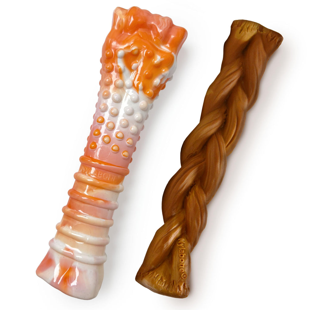 Nylabone os articulé texturé pour mâcher sans odeur et plaisir durable.