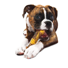 NyLabone Philly Cheesesteak avec bosselures et texture stimulante pour mâchoire active.