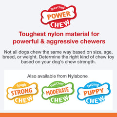 NyLabone Philly Cheesesteak avec forme naturelle d’os, facile à saisir.