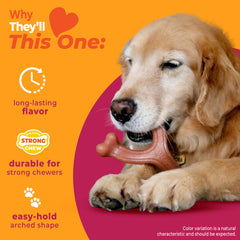 Nylabone Wishbone pour grands chiens jusqu’à 50 lb, divertit durablement.