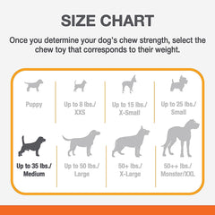 Nylabone PRO Action, taille moyenne adaptée pour chiens jusqu'à 16 kg.