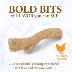 Nylabone Saveur poulet gourmet, stimule la mastication et occupe les chiots.