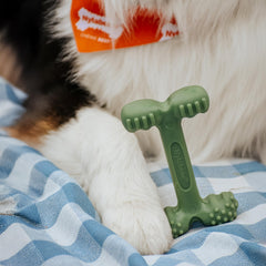 Texture dentaire variée de Nylabone pour nettoyer les dents lors du jeu.
