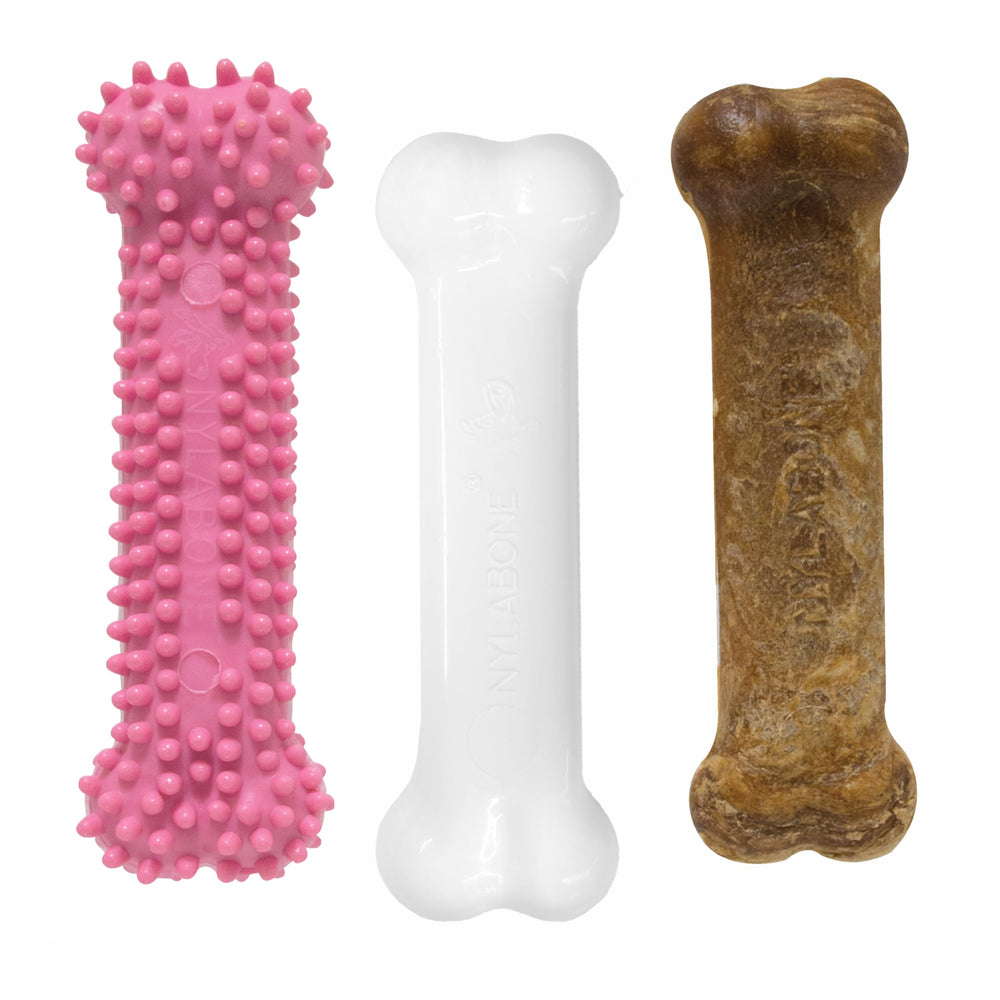 Nylabone Puppy: jouet-dentition poulet — aide à la dentition et divertissement sain