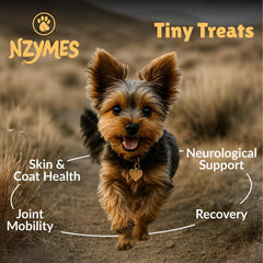Nzymes Friandises Antioxydantes Minuscules pour chiens adultes, soutien quotidien.