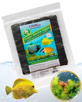 Seaweed Select Ocean Nutrition – feuilles-algue-verte: aliment naturel pour poissons herbivores.