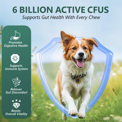 Probiotiques OcePor pour chien – bouchées mâchables et appétentes