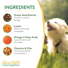 Ocu-GLO Vision avec extraits de pépins de raisin et antioxydants