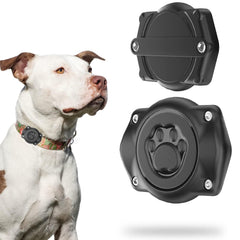 Odokele porte AirTag pour collier chien, étanche et sûr lors de la baignade.