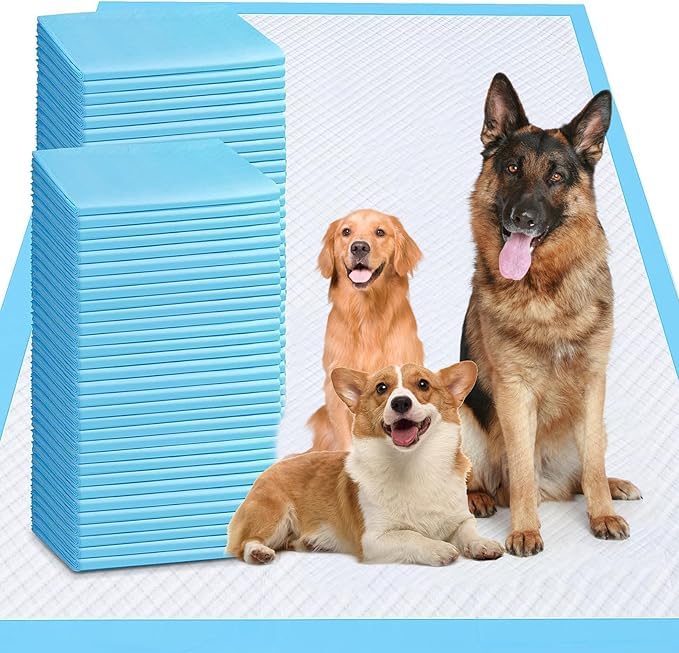 Odorless XXXXL tapis d’apprentissage 31x47 protégeant sols et tapis.