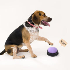 OFVENS bouton-commande-pour-chien-chat, associe mots simples à des actions.