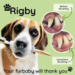 OH RIGBY-tete-brosse-large: nettoyage en douceur des dents et gencives sensibles.