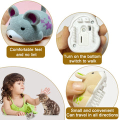 OHGOSH design-unique-teaser: design unique qui intrigue et divertit les animaux.