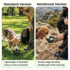OHMO bol multi-usage pour nourriture et eau des chiens.