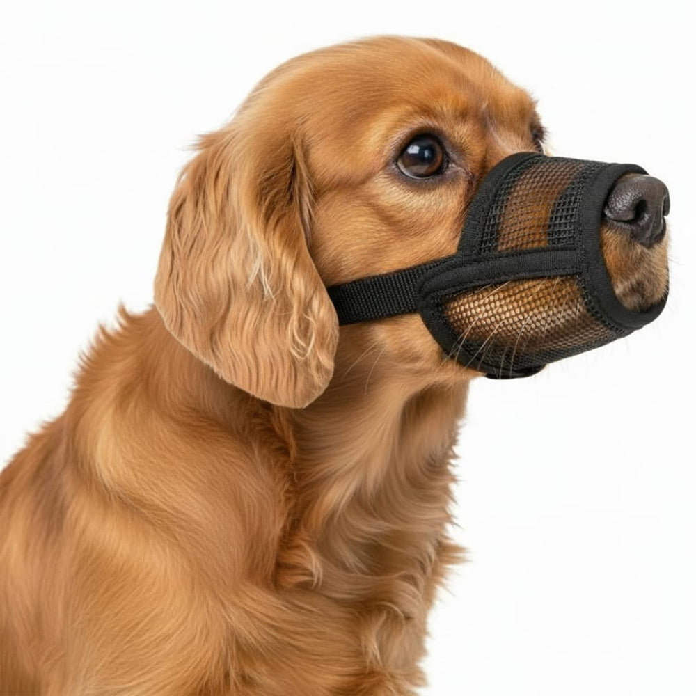 OHNSO museau pour chien moyen avec maille respirante pour plus de confort