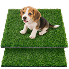 Oiyeefo tapis gazon artificiel pour chien – parfait pour apprentissage toilette intérieur