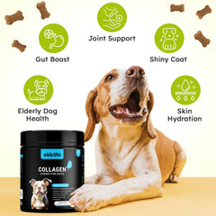 OKKÖBI Collagène pour chiens – peau et pelage brillants après l’utilisation.
