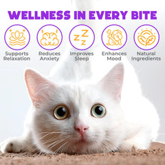 OKKÖBI friandises calmantes pour chats saumon, goût apprécié par les animaux.