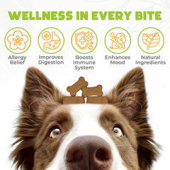 OKKÖBI ingrédients naturels pour allergie chien, soutien digestif potentiel.