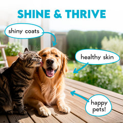 OKKÖBI Omega 3 pour chiens – huile de poisson riche en EPA et DHA, ingrédients naturels.