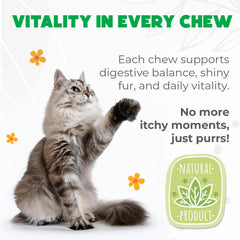 OKKÖBI probiotiques pour chats – ingrédients naturels soutenant la digestion