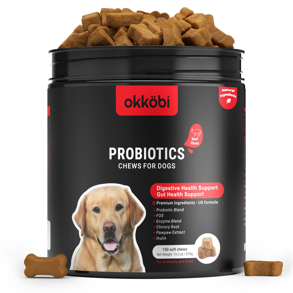 OKKÖBI Probiotiques pour Chiens, emballage boeuf, démarrage facile et pratique.