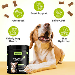 OKKÖBI Collagene chien Sante peau poil: pelage sain et brillant.