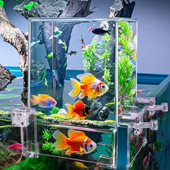 Okllen aquarium suspendu: pression négative et niveau d'eau stable