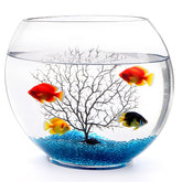 Okllen bocal oblate en verre avec décor bleu pour betta.