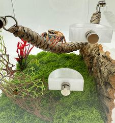 Bol d'eau Okueejur, adapté aux petits animaux.