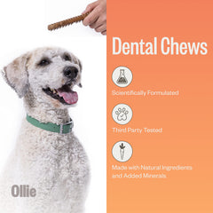 Sachet Ollie Dental Chews 12 onces, bouchées dentaires faciles à donner.
