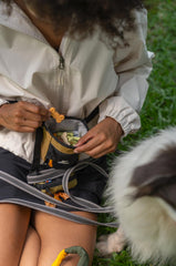 Fermeture magnetique du Goodie Bag OllyDog facilitant l access rapide.