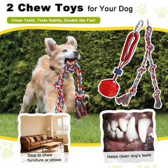 Olpchee Hauteur-reglable 33-a-47-pouces – ajuste rapidement pour tous les chiens.