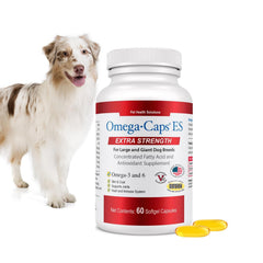 Omega Caps ES montre un pelage brillant et une peau saine chez un chien de grande taille.