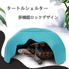 OMEM Reptiles House ventilation supérieure bleu, air frais pour terrarium