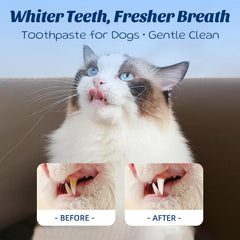 OMYGYM brosse dentaire douce pour chien et chat.
