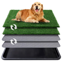 Ondware système potty chien complet avec plateau pour entraînement intérieur.
