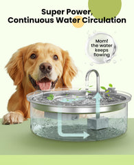Oneisall fontaine d'eau chien silencieuse pour quotidien calme
