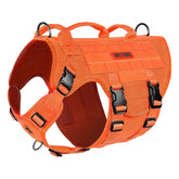 Harnais ONETIGRIS grand pour chien avec poignée, confort et contrôle lors des sorties.