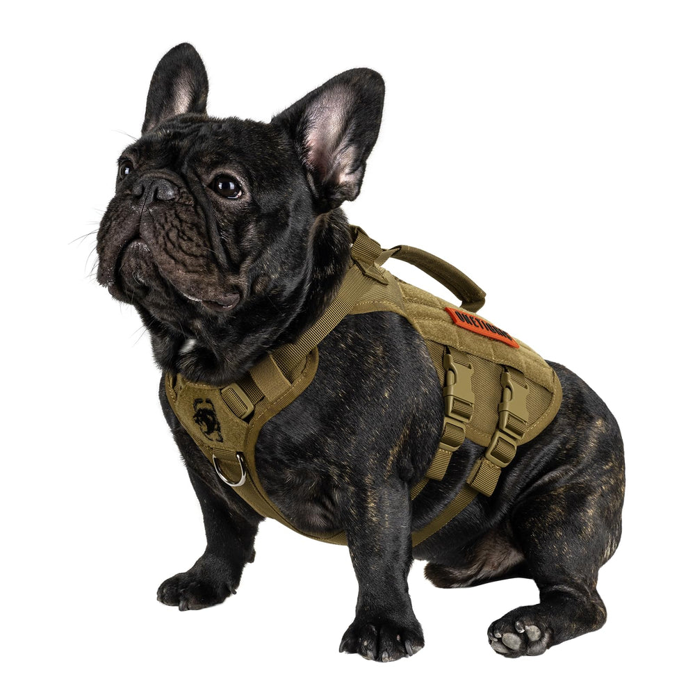 ONETIGRIS harnais tactique en mesh respirant pour petit chien, confort tout au long de la marche.