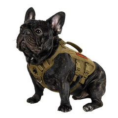 ONETIGRIS harnais tactique en mesh respirant pour petit chien, confort tout au long de la marche.