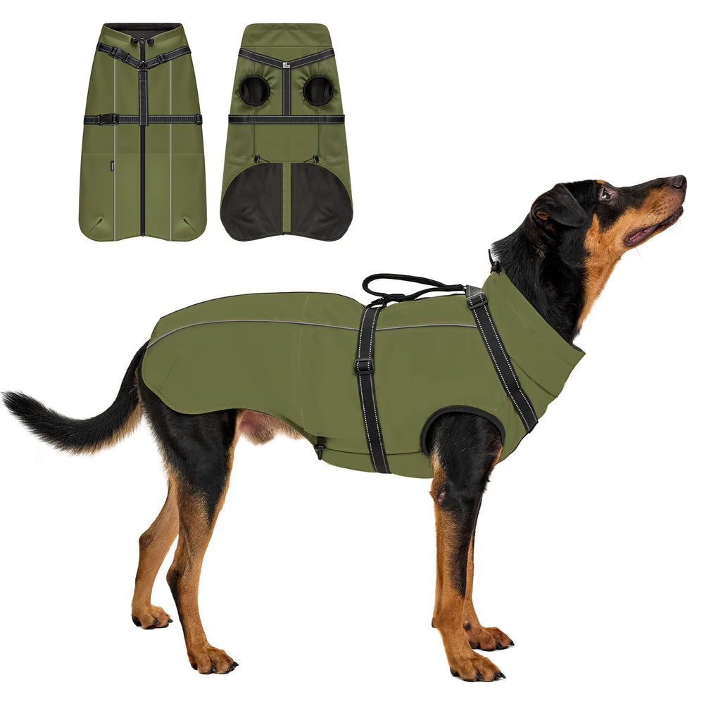 OneTigris manteau chien avec harnais réfléchissant en action pour promenade nocturne