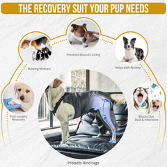 ONETIGRIS recovery suit pour chien, ouverture toilette pratique sans retirer la combi.