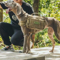 OneTigris sac-chien Mammoth avec poches latérales pour eau et snacks pendant la marche.