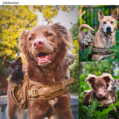 ONETIGRIS sac chien moyen côté – poches pratiques pour snacks et accessoires.