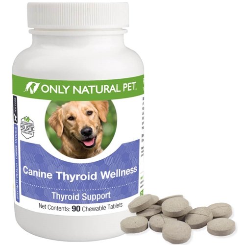 Only Natural Pet – complément thyroïde chien à mâcher, soutien quotidien