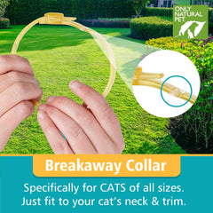 Only Natural Pet EasyDefense collier-chat porté par le chat, confort et sécurité.
